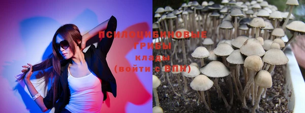прущие грибы Белоозёрский