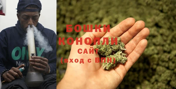 прущие грибы Белоозёрский