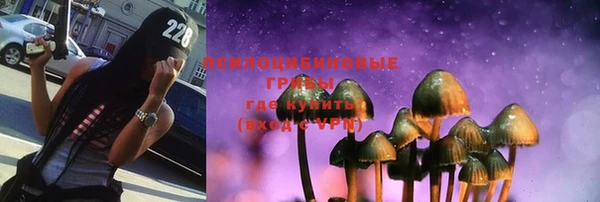 прущие грибы Белоозёрский