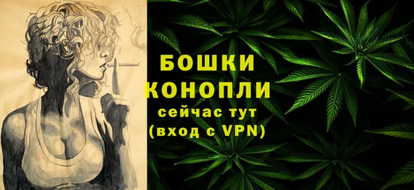прущие грибы Белоозёрский