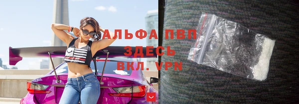 прущие грибы Белоозёрский