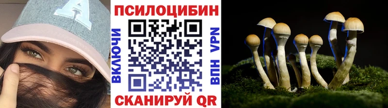 Галлюциногенные грибы MAGIC MUSHROOMS  Санкт-Петербург 
